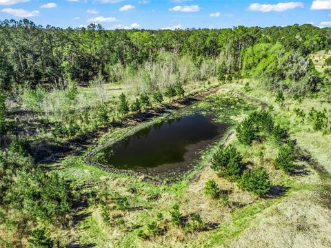 Tiny photo for 6350 NE 86th Avenue, Bronson, FL 32621 (MLS # OM721098)