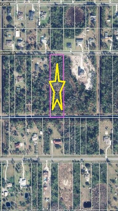 3.45 Acres located on a nicely paved road with Electric Available!! Don't miss this opportunity to build your dream home in the Wedgefield area located in Orange County. Conveniently located with quick access to major highways, 25 minutes to the beaches, many Golf Courses, only minutes to the Orlando International Airport, Downtown Orlando, and all the theme parks! This is a very rare opportunity to own a large parcel in Wedgefield, which is hidden gem community of East Orange County, Golf and outdoor lovers’ Paradise!  New Construction homes next door and many more in the area! Make an offer today!