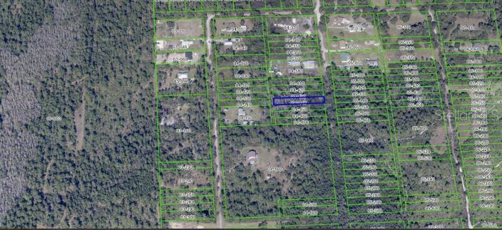 CHRISTMAS PINES REP - Land