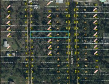 CHRISTMAS PINES REP - Land