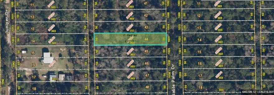 Discover the potential of this 0.35-acre vacant residential lot located at 1020 Sable Palm Drive in Christmas, Florida 32709. Set in a quiet, rural community known for its charm and natural surroundings, this spacious parcel offers an excellent opportunity to build a custom home with room for outdoor living. Enjoy the peaceful atmosphere while still benefiting from convenient access to major highways, nearby parks, and the amenities of East Orlando. Whether you're planning your future residence or investing in land, this property provides great value in a desirable and growing area. Don't miss this opportunity!
