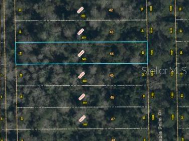 CHRISTMAS PINES REP - Land