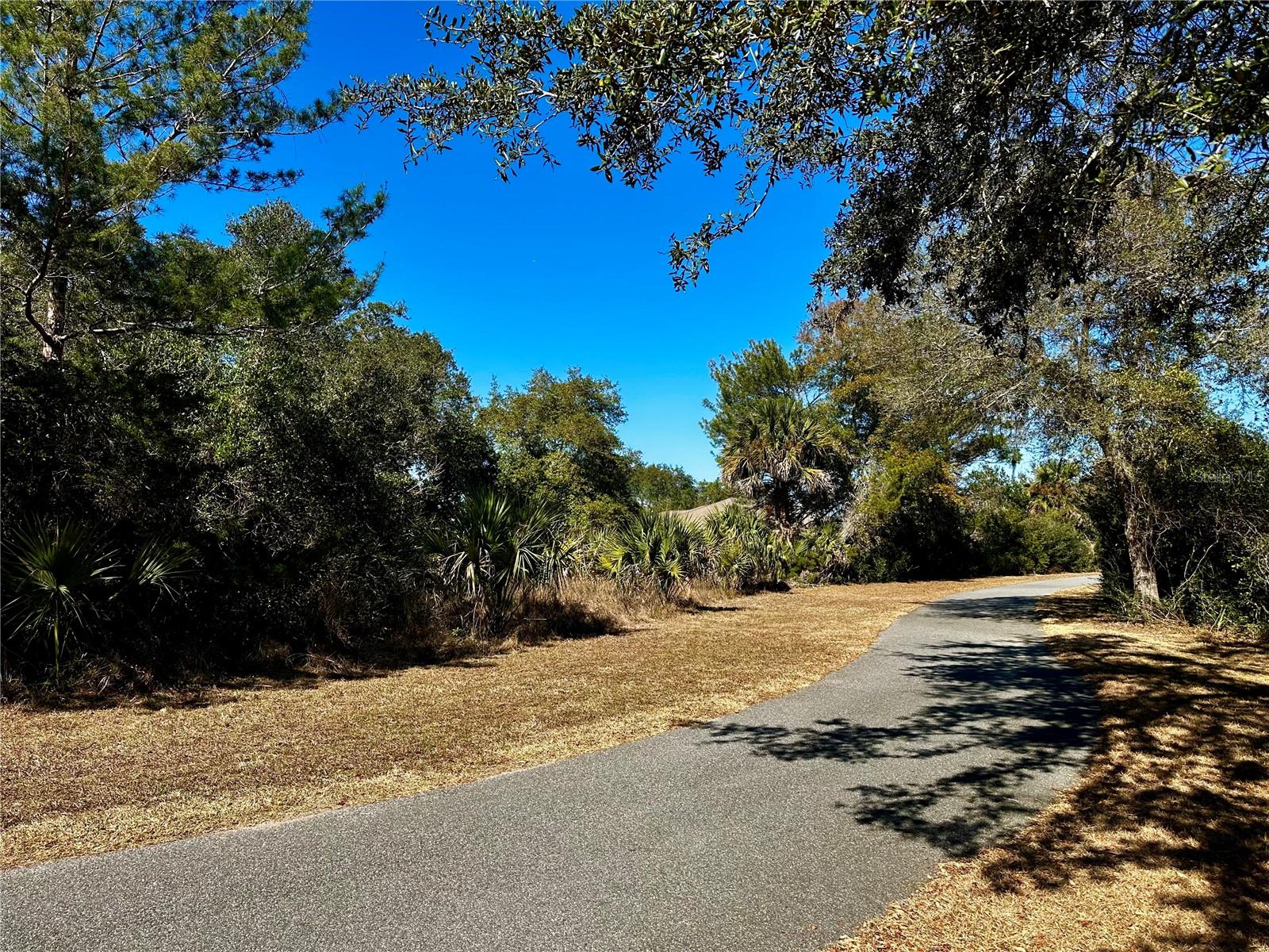 FOREST GROVE BUS CENTER - Land