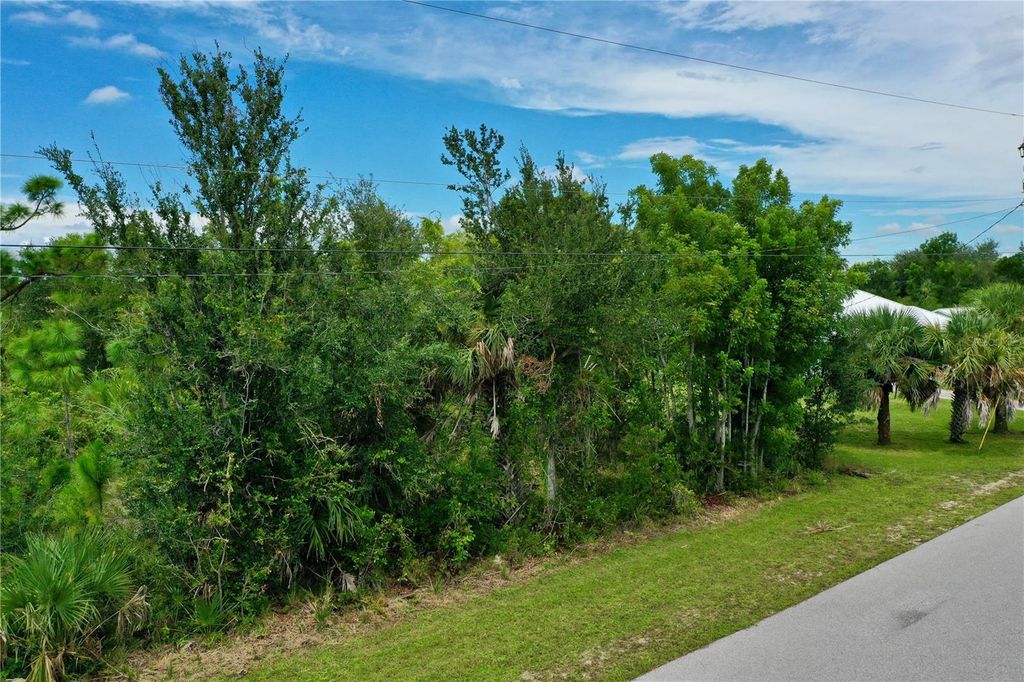 Photo of 9150 Snapper Circle, Port Charlotte, FL 33981 (MLS # C7514320)