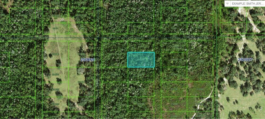 Photo of Commonwealth Ave N, Polk City, FL 33868 (MLS # O6264411)