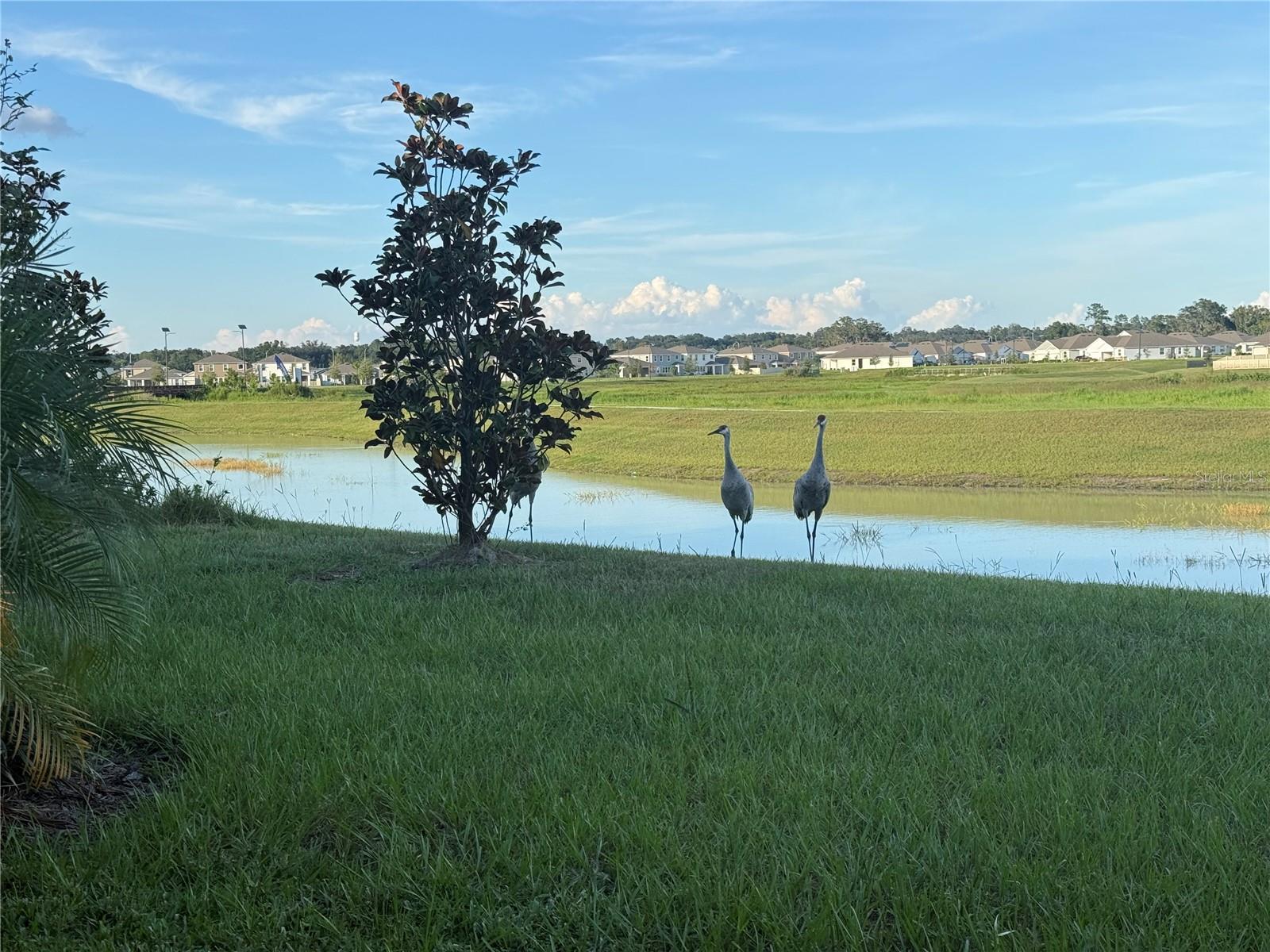 MIRADA PRCL 2 - Residential