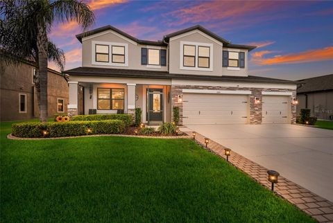 11435 LELAND GROVES DRIVE RIVERVIEW FL 33579