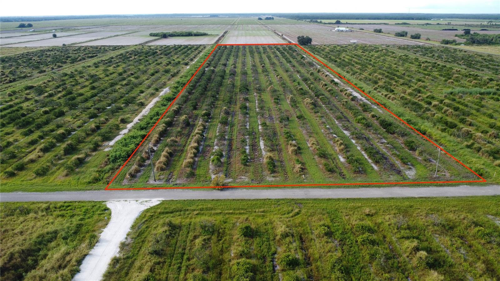 SPRAWLING ACREAGE OFFERING THE PEACE AND QUIET OF COUNTRY LIFE OR HOBBY FARMING WITH THIS BUILDABLE 10 ACRE HOMESITE. Currently used as 10 acres of Citrus Grove featuring paved road frontage and electric nearby located within Charlotte County! The central location between Fort Myers, Punta Gorda, or DeSoto County is ideal- take your pick of convenient commute to Historic Downtown Arcadia, gorgeous Lee County beaches and Babcock Ranch, or rooftop and waterfront Punta Gorda amenities. Want a hobby citrus project or possibilities to grow other agriculture produce? Here is your opportunity! Start your agricultural operation today or BUILD YOUR DREAM HOME! Additional lots also available!