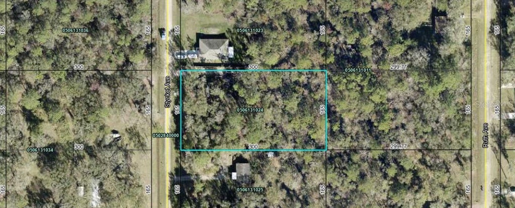 Photo of 10300 Stycket Avenue, Hastings, FL 32145 (MLS # FC320707)