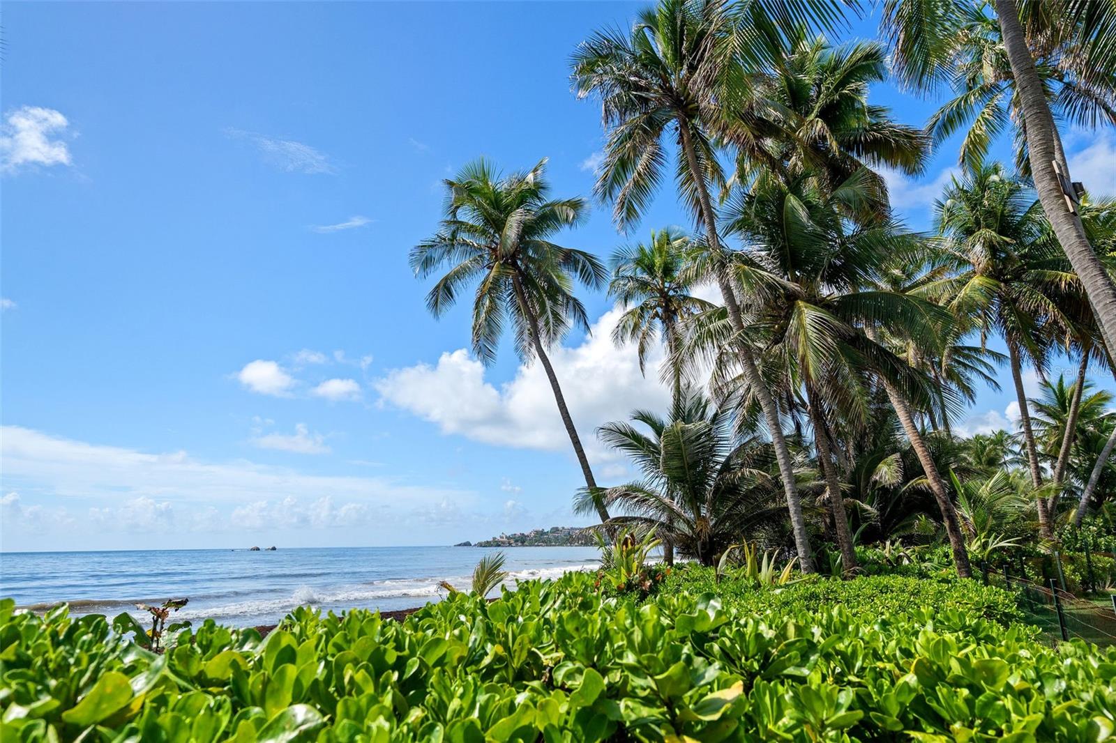 CRESCENT COVE CLUB CONDOMINIUM - Residential