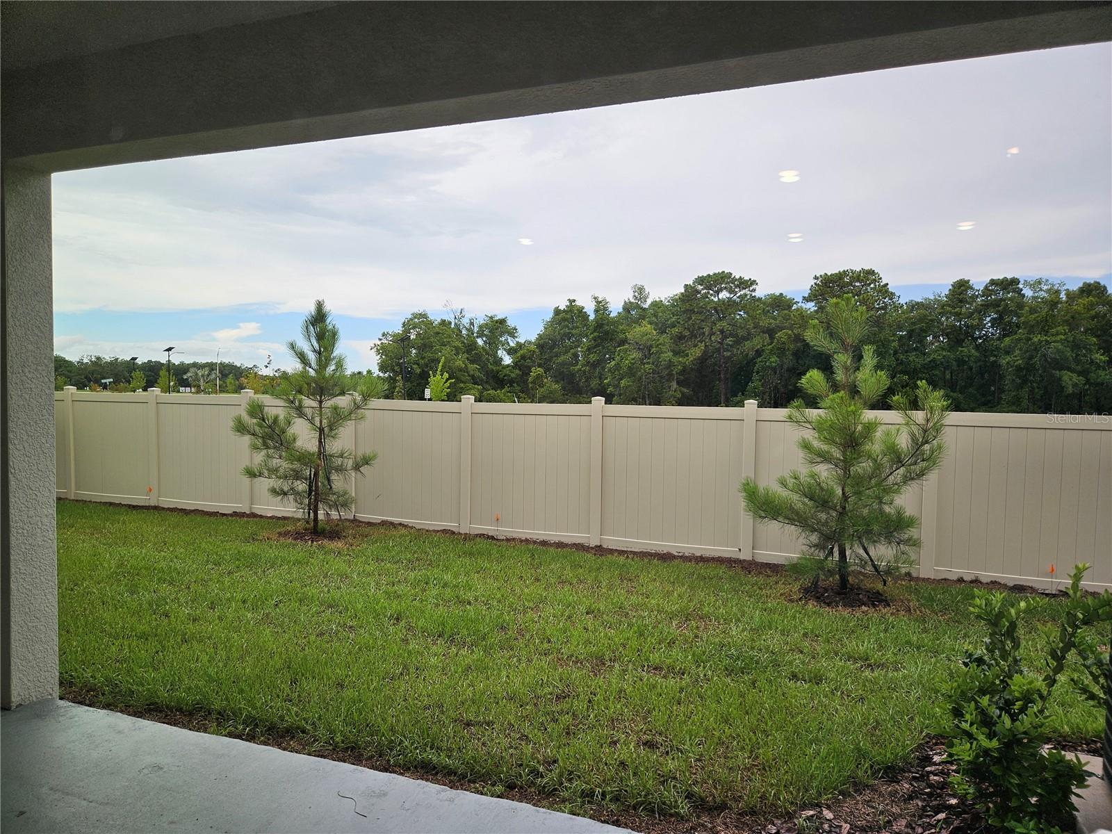 ANGELINE PH 3B-1 - Residential Lease