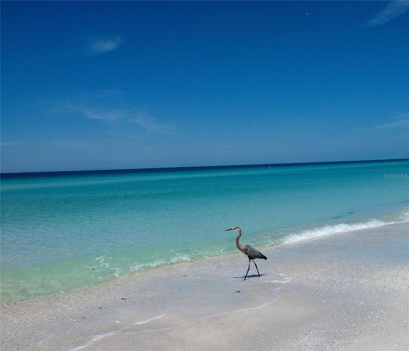 THE WOODS AT PINEBROOK - Residential