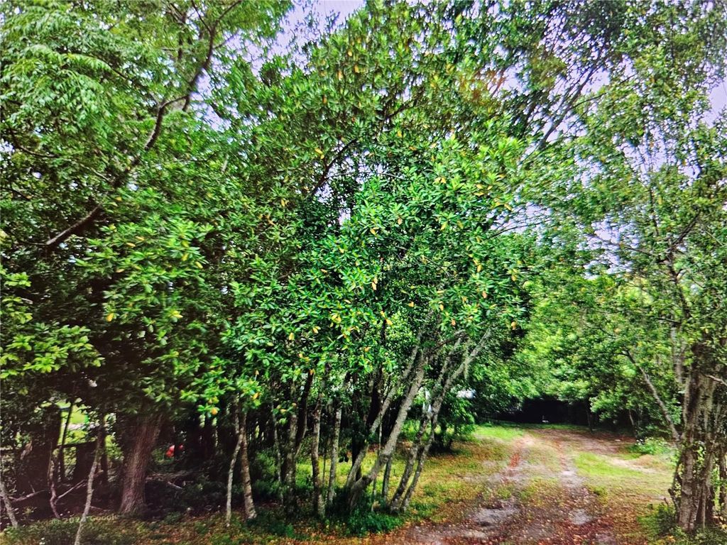 Photo of 0 Cardy Street, New Port Richey, FL 34654 (MLS # TB8503430)