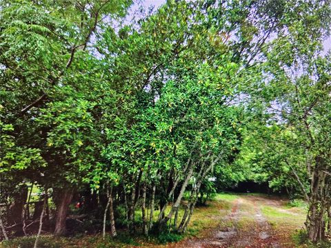 Photo of 0 Cardy Street, New Port Richey, FL 34654 (MLS # TB8503430)