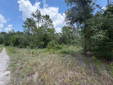 Tiny photo for 00 NE 65th Terrace, Williston, FL 32696 (MLS # OM727574)