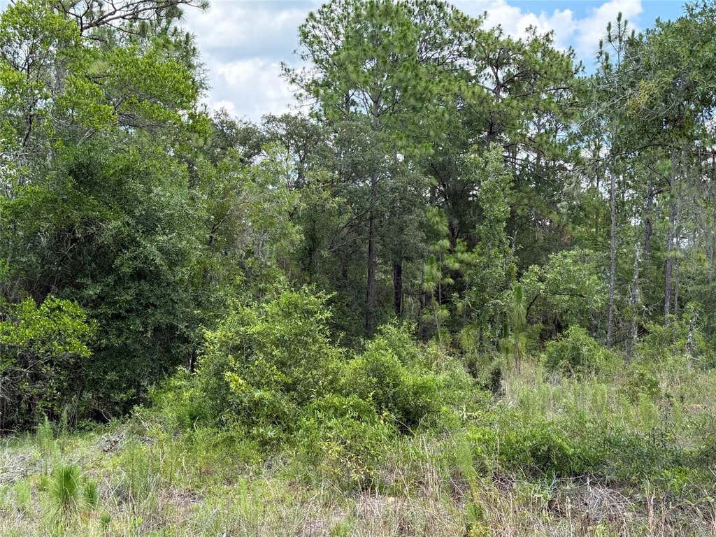 Photo of 00 NE 65th Terrace, Williston, FL 32696 (MLS # OM727574)