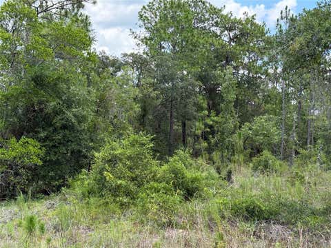 Tiny photo for 00 NE 65th Terrace, Williston, FL 32696 (MLS # OM727574)