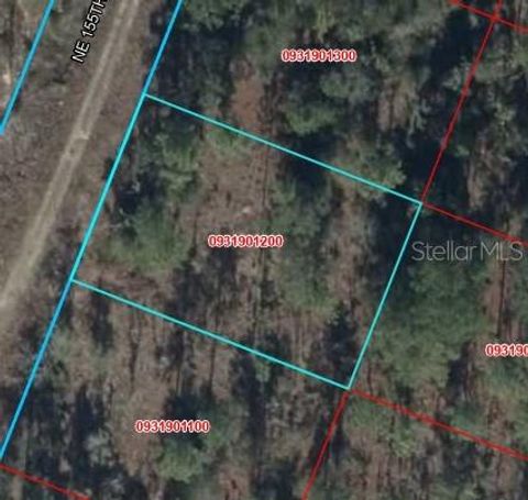 Tiny photo for 00 NE 65th Terrace, Williston, FL 32696 (MLS # OM727574)