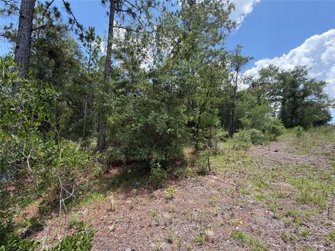Tiny photo for 00 NE 65th Terrace, Williston, FL 32696 (MLS # OM727574)