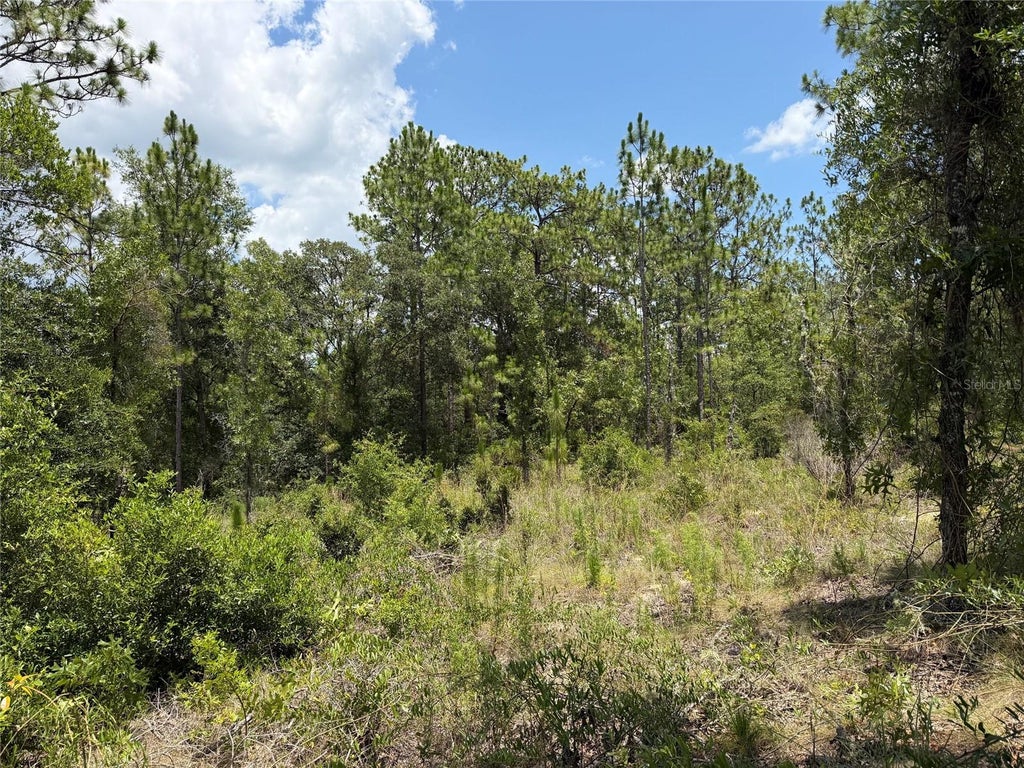 Photo of 00 NE 65th Terrace, Williston, FL 32696 (MLS # OM727574)