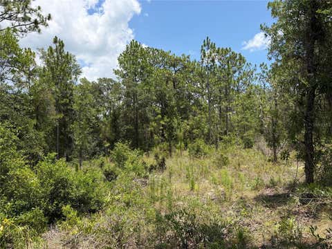 Photo of 00 NE 65th Terrace, Williston, FL 32696 (MLS # OM727574)