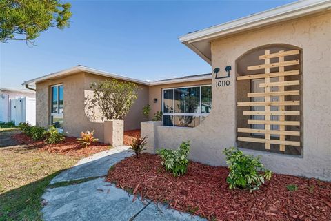 10110 BRANDYWINE LANE PORT RICHEY FL 34668