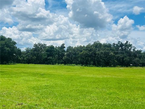 0 546A BUSHNELL FL 33513