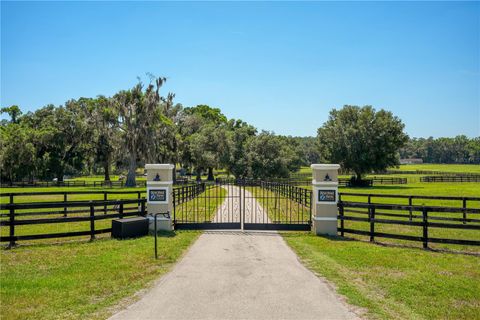 Tiny photo for 15620 NW Highway 225, Reddick, FL 32686 (MLS # OM726176)