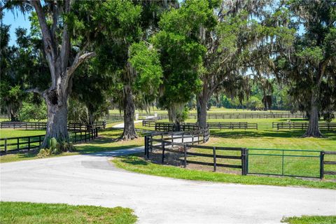 Tiny photo for 15620 NW Highway 225, Reddick, FL 32686 (MLS # OM726176)