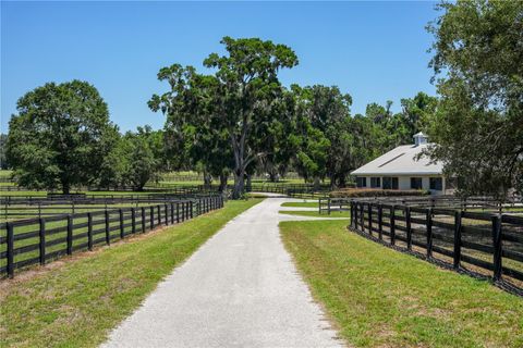 Tiny photo for 15620 NW Highway 225, Reddick, FL 32686 (MLS # OM726176)