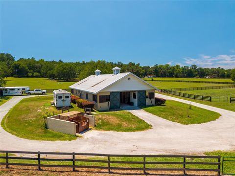 Tiny photo for 15620 NW Highway 225, Reddick, FL 32686 (MLS # OM726176)