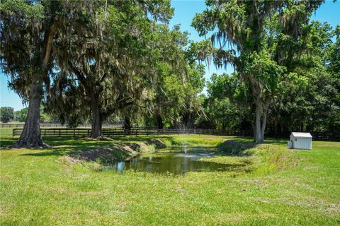 Tiny photo for 15620 NW Highway 225, Reddick, FL 32686 (MLS # OM726176)