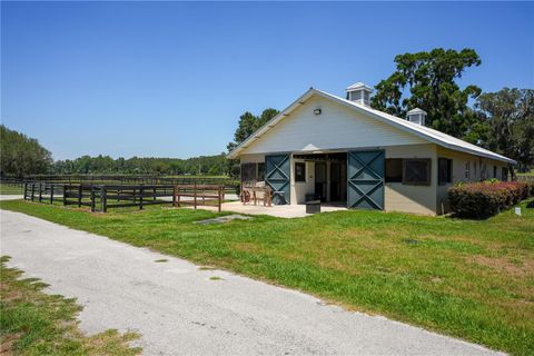 Tiny photo for 15620 NW Highway 225, Reddick, FL 32686 (MLS # OM726176)