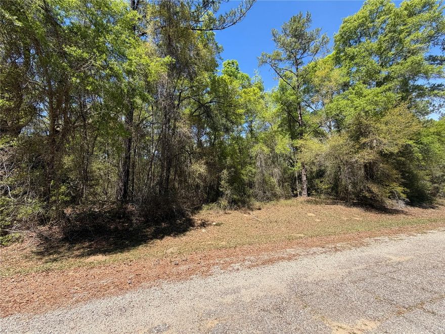 Discover this exceptional opportunity at 8512 N Escobar Rd, Citrus Springs, FL 34434. This expansive parcel features just under 2 acres of land, offering a blank canvas for your vision. This is a vacant raw land sale of an unimproved lot, providing the perfect setting for those seeking space and privacy in a growing community. Whether you are looking to build a custom retreat or hold as an investment, this property offers incredible potential.