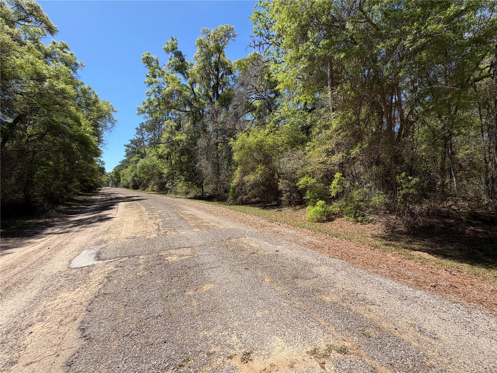 CITRUS SPGS UNIT 17 - Land