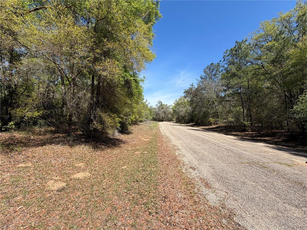 Photo of 8512 N Escobar Road, Dunnellon, FL 34434 (MLS # A4687210)