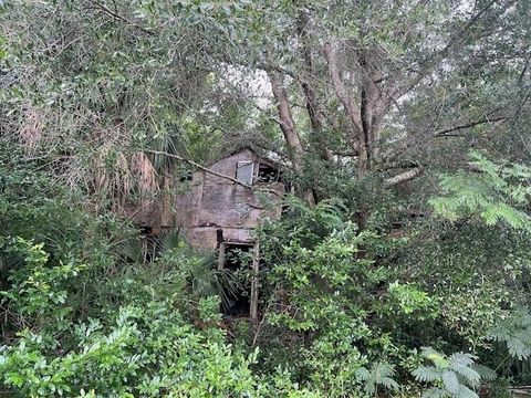 Tiny photo for 3231 NE Hwy 41, Williston, FL 32696 (MLS # OM649657)