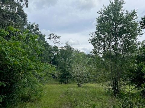 Tiny photo for 3231 NE Hwy 41, Williston, FL 32696 (MLS # OM649657)
