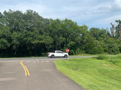 Tiny photo for 3231 NE Hwy 41, Williston, FL 32696 (MLS # OM649657)