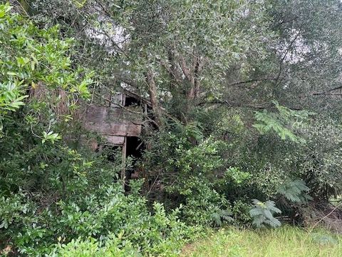 Tiny photo for 3231 NE Hwy 41, Williston, FL 32696 (MLS # OM649657)