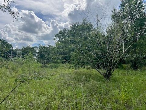 Tiny photo for 3231 NE Hwy 41, Williston, FL 32696 (MLS # OM649657)