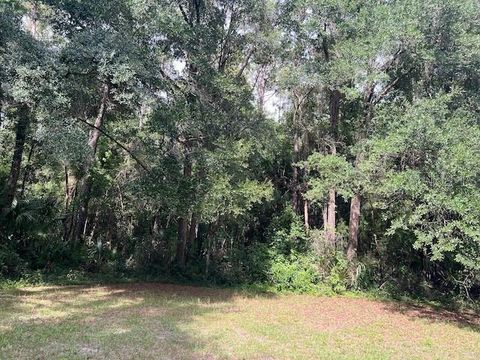 Tiny photo for 3231 NE Hwy 41, Williston, FL 32696 (MLS # OM649657)