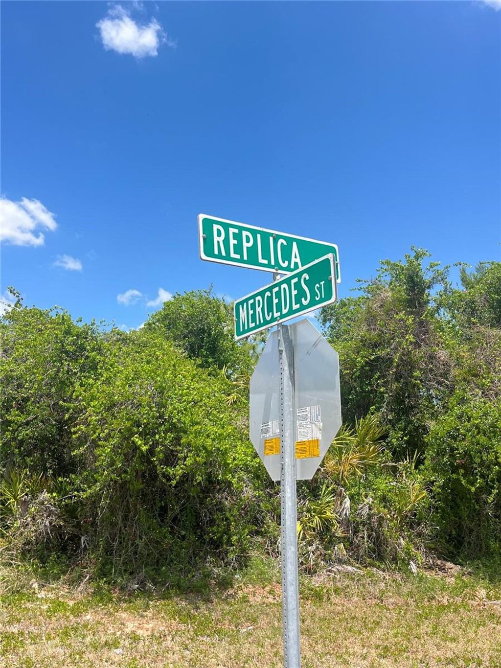 Photo of 901 Replica Avenue, Sebring, FL 33872 (MLS # O6404228)