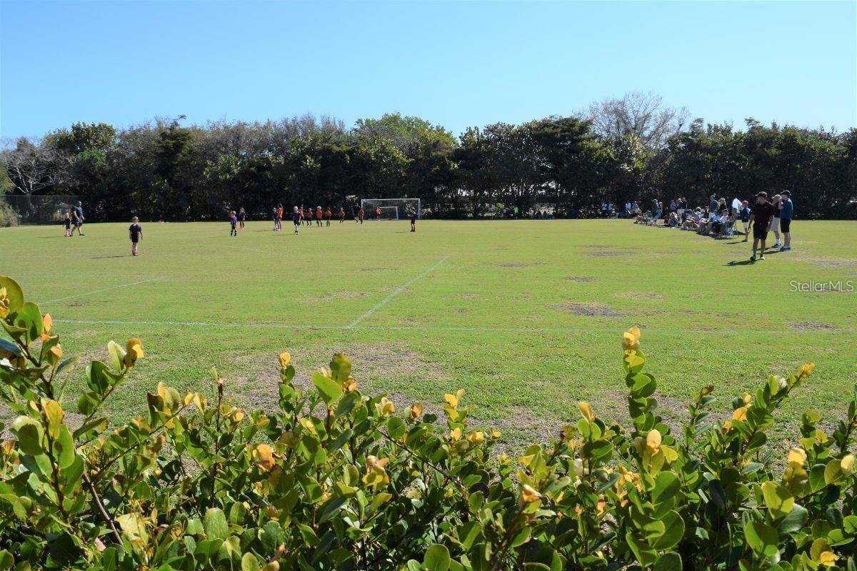 SIESTA ISLES - Residential