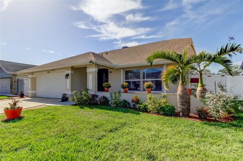 A home in TAMPA