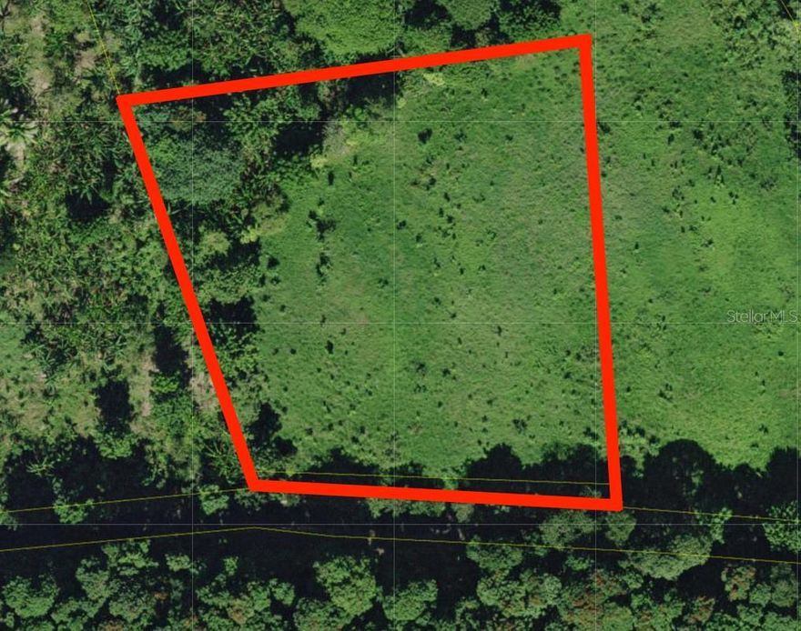 Beautiful farm property 1.35 acre (5,463 sm) located along PR-111 in the Cidral ward of San Sebastián, Puerto Rico, offering a unique natural environment with refreshing streams and lush vegetation. The land is home to endangered Asaí palm trees, adding ecological and conservation value.

Its strategic roadside location makes it ideal for agro-tourism, sustainable development, agricultural use, or as a private countryside retreat. San Sebastián is known for its natural attractions, including the Gozalandia waterfalls, Lago Guajataca, and a rich cultural heritage, along with excellent local dining.

Enjoy peaceful rural living, beautiful sunsets, and convenient access to major routes connecting the northwest region of the island. A rare opportunity to own land with natural beauty, character, and long-term potential.