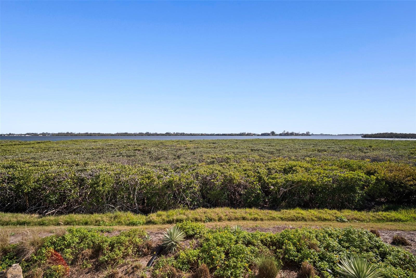 EDGEWATER POINTE AT PERICO II - Residential