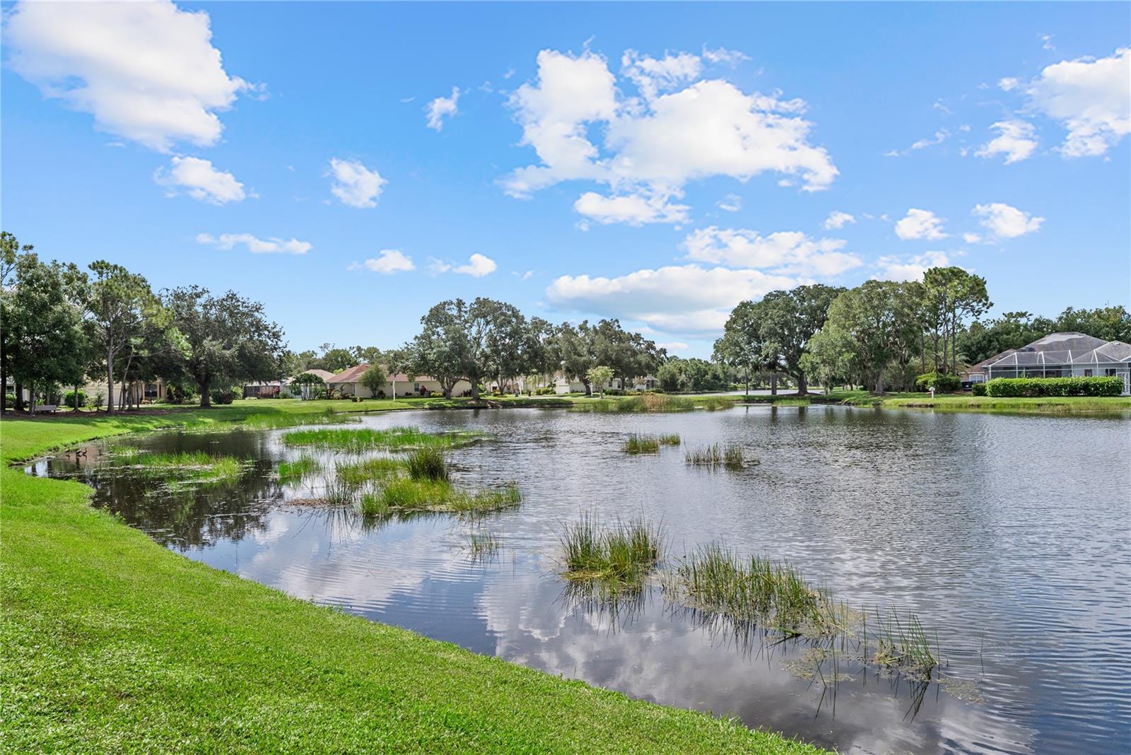 11326 BLUE SAGE PLACE