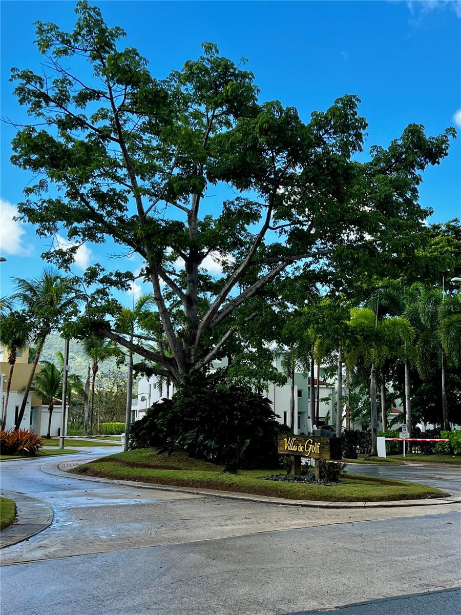 VILLAS DE GOLF AT CIUDAD JARDIN - Residential