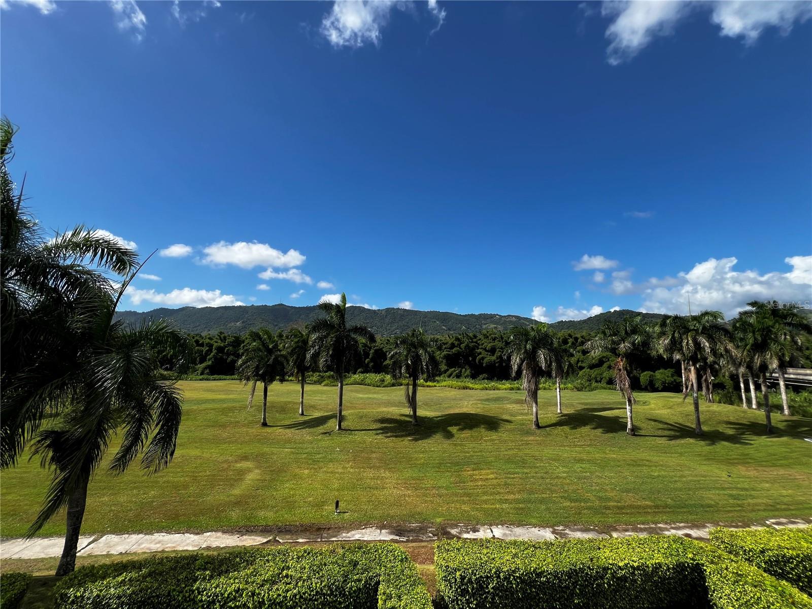 VILLAS DE GOLF AT CIUDAD JARDIN - Residential